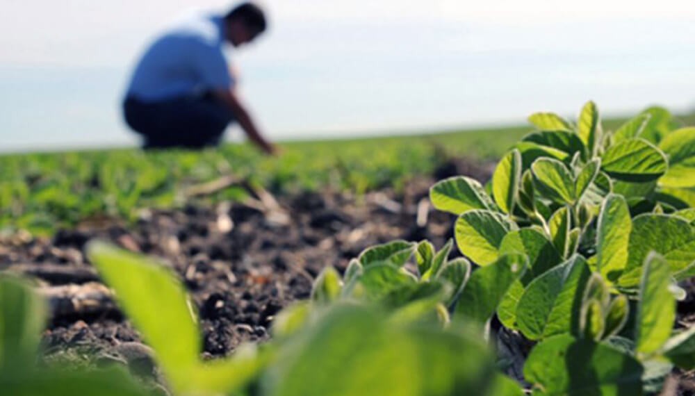El desafío de “humanizar” la toma de decisiones a campo
