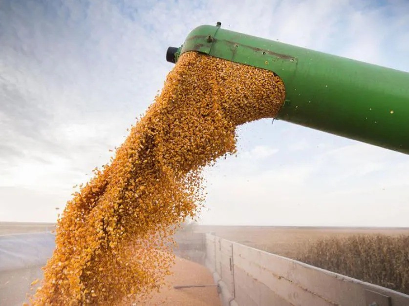 La agroexportación argentina liquidó USD 4.102 millones, el mejor mes desde 2002