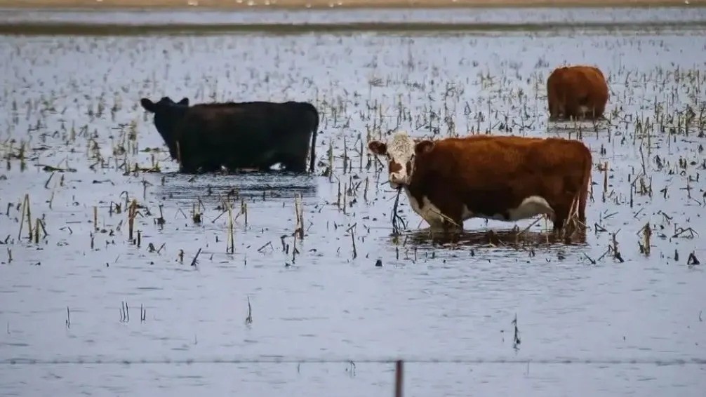 Comenzó la prórroga de una semana para tramitar la emergencia agropecuaria