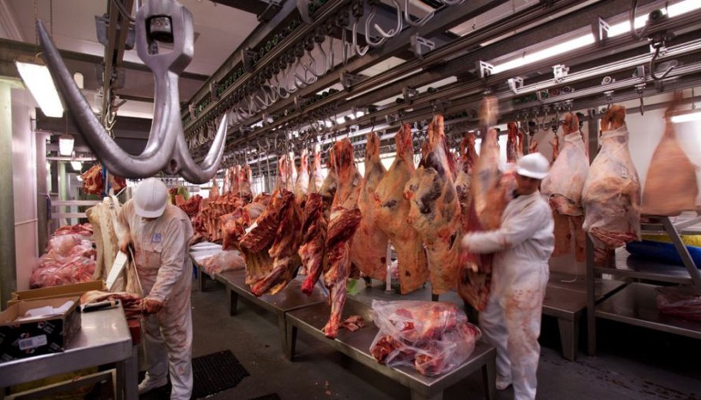Sin techo en los valores: el sector de ganados y carnes se prepara para un 