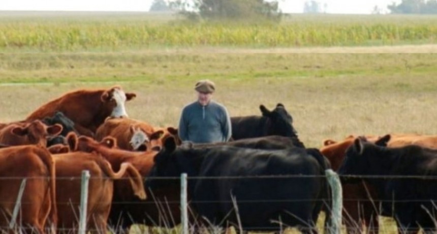 El envío de ganado vacuno a faena disminuyó 10% respecto de 2024