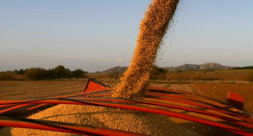 Anuncian una nueva baja de retenciones para el sector agropecuario