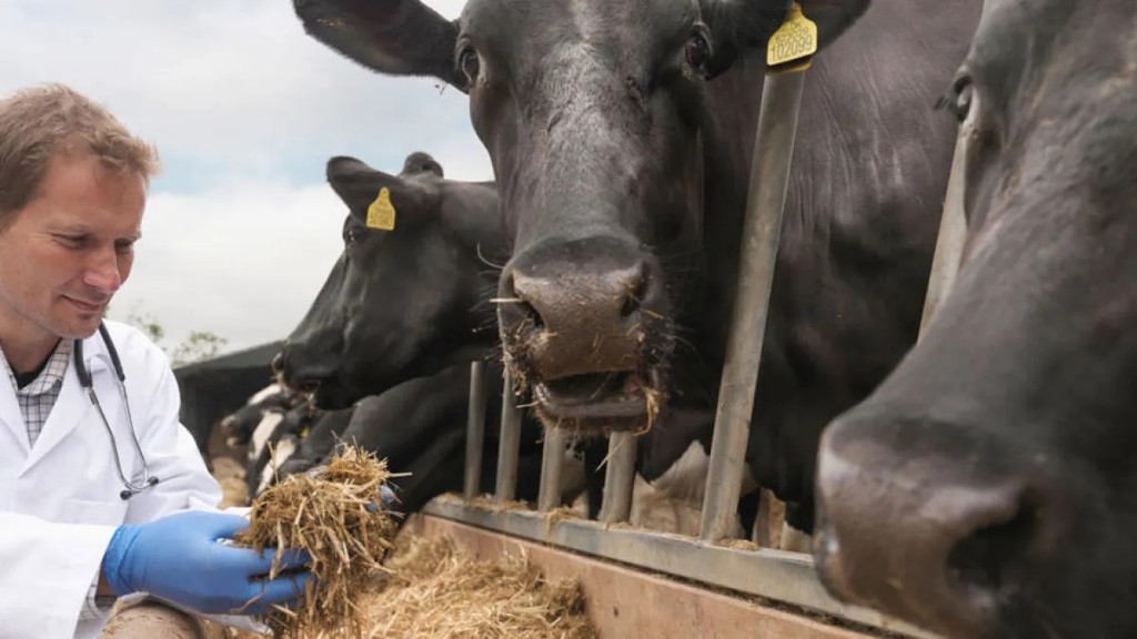 El Senasa unifica y moderniza la acreditación de veterinarios y técnicos