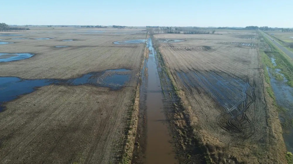 La Provincia prorrogó la emergencia agropecuaria en dos distritos del sudoeste