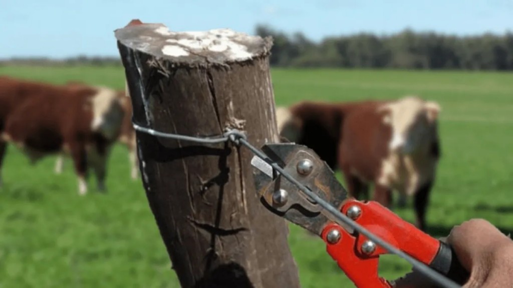 CRA lanzó un canal de denuncias para reunir datos y fortalecer reclamos