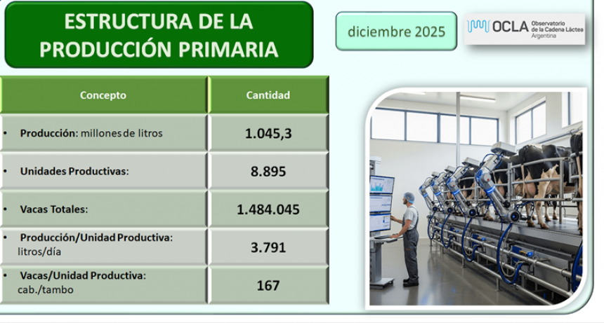 Lechería 2025: el tambo promedio creció 4,5% anual y se acelera la concentración
