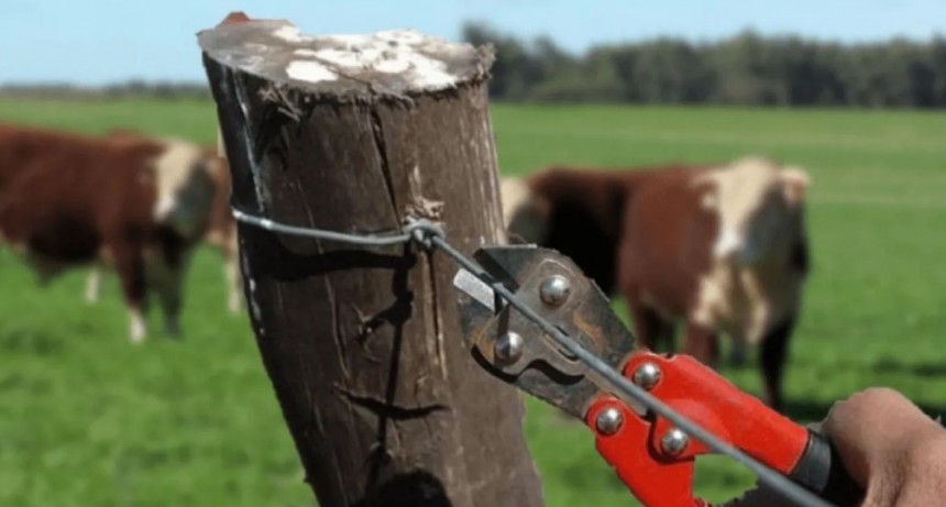 CRA lanz&oacute; un canal de denuncias para reunir datos y fortalecer reclamos