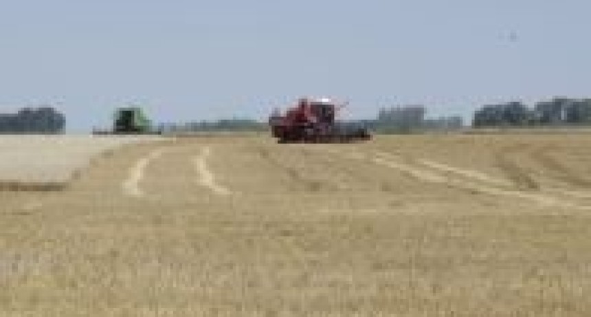 R&eacute;cord hist&oacute;rico de exportaciones agroindustriales: las DJVE alcanzaron 12,6 millones de toneladas en marzo de 2026