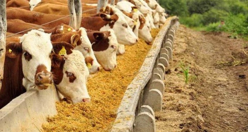 CAENA destaca el trabajo del SENASA y avanza la reapertura de exportaciones de nutrici&oacute;n animal