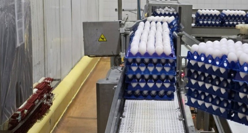 Ovoproductos de Entre R&iacute;os: refuerzan controles de inocuidad y crecen las exportaciones a mercados exigentes