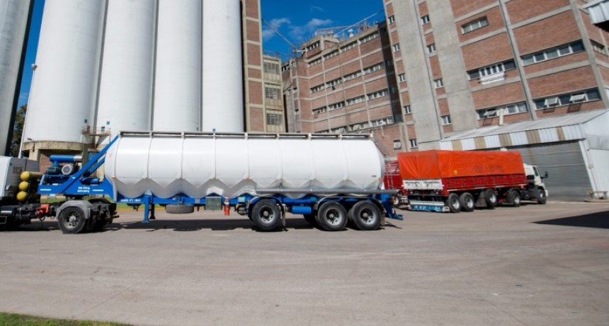 La molienda de girasol alcanz&oacute; su nivel m&aacute;s alto en 17 a&ntilde;os en marzo de 2026