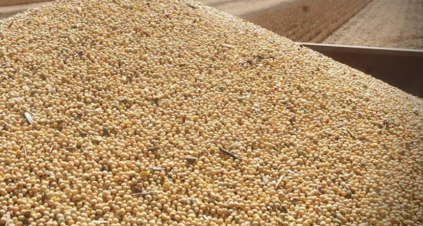 Cosecha de soja: una semana de buen clima permiti&oacute; levantar un mill&oacute;n de hect&aacute;reas y mejora la producci&oacute;n