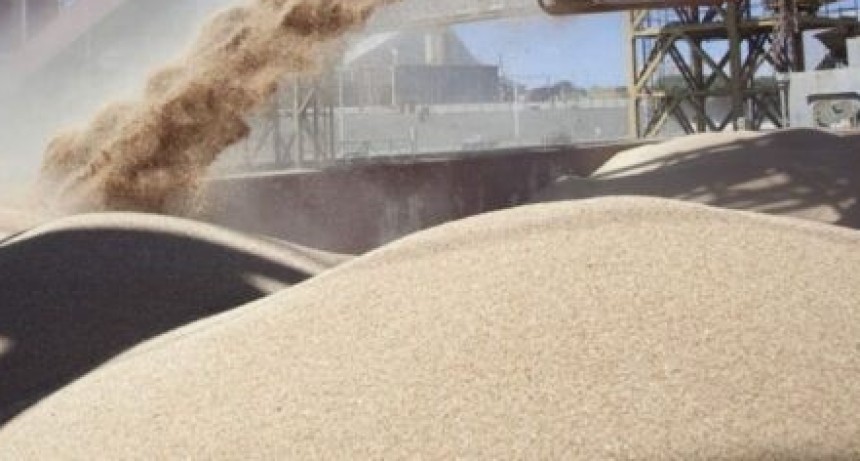 La harina de soja mantiene precios firmes por demoras en la cosecha argentina y fuerte demanda global