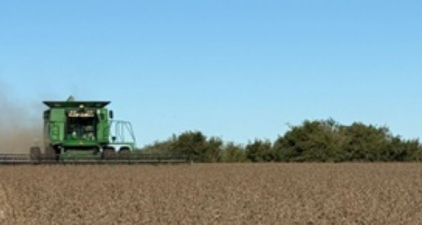 El Gran Rosario volvi&oacute; a ser el principal puerto agroexportador del mundo y super&oacute; a Estados Unidos y Brasil