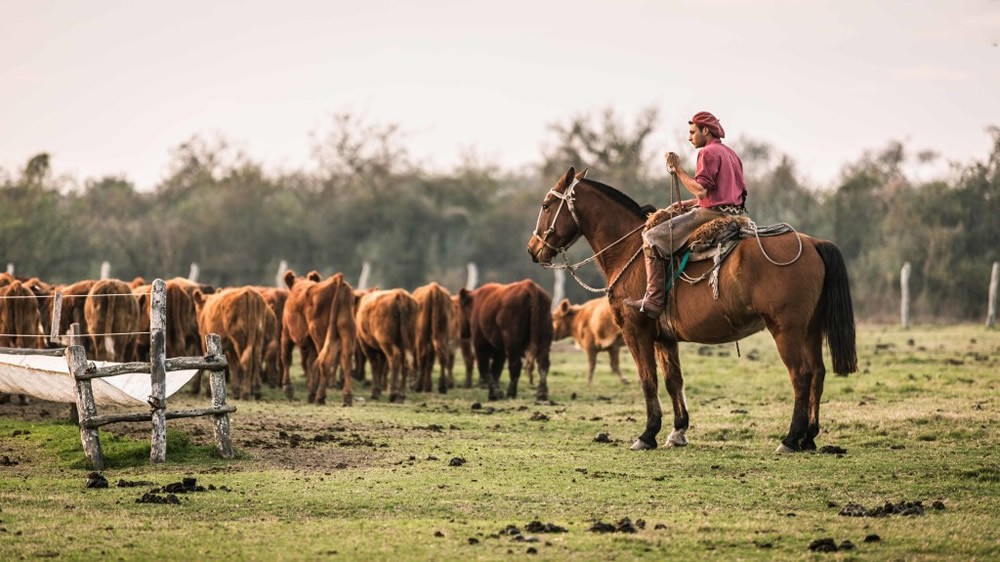 Por qué se celebra este 8 de octubre el Día del Trabajador Rural