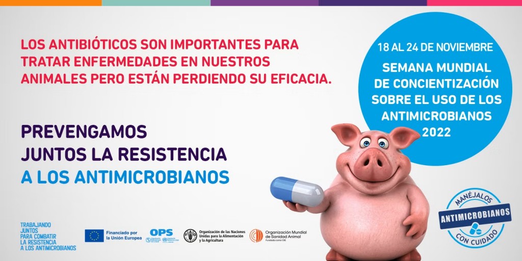 La OMS advierte sobre ‘la amenaza creciente’ de la resistencia a los antimicrobianos