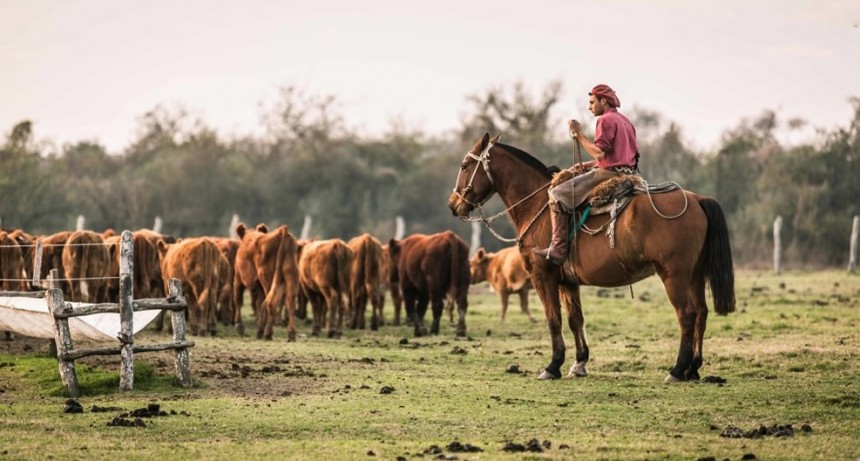Por qué se celebra este 8 de octubre el Día del Trabajador Rural