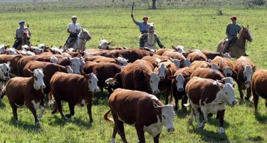 Día del Trabajador Rural: “Se nos han cerrado muchas fuentes de trabajo” 