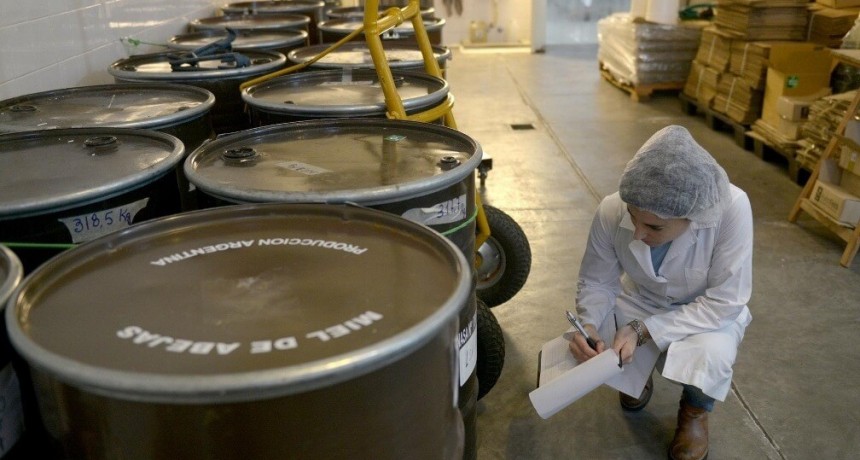 Con la miel a la cabeza, las exportaciones apícolas son las más altas en 7 años