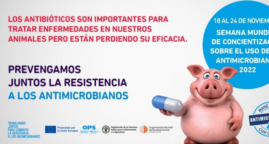 La OMS advierte sobre ‘la amenaza creciente’ de la resistencia a los antimicrobianos
